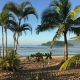Homem morre afogado na praia de Lagoinha em Ubatuba
