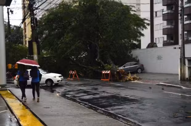 Queda de árvore deixa rua da Vila Adyana bloqueada por 17h em São José