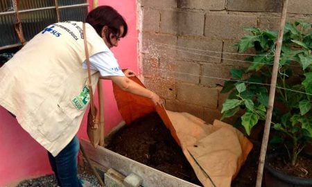 Mais de 600 casas são visitadas em ação de combate a dengue realizada em Guaratinguetá