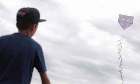 Festival de Pipas acontece em Lorena neste domingo (15/01)