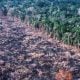 Amazônia perde 7.989 km² de floresta, maior desmatamento desde 2008