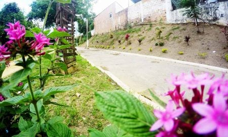 Morador faz jardim com as próprias mãos e oferece um novo espaço na Rua 10 em Cruzeiro