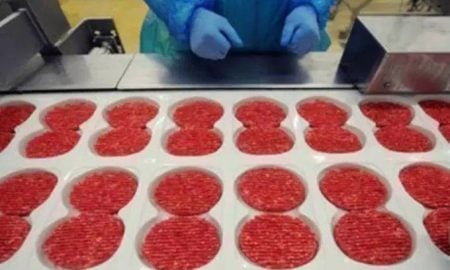 Investigação “Carne Fraca” aponta frigoríficos comercializando carnes estragadas e substâncias cancerígenas no Brasil