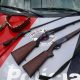 Homem é preso por porte ilegal de arma de fogo em Lorena