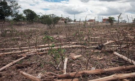 Alertas de seca no Brasil disparam e crescem 409% em 13 anos