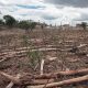 Alertas de seca no Brasil disparam e crescem 409% em 13 anos