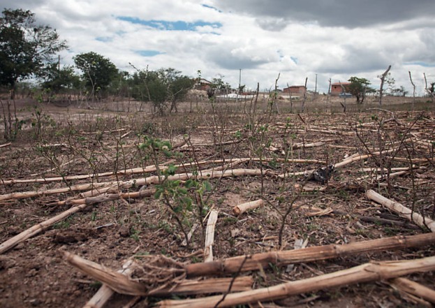 Alertas de seca no Brasil disparam e crescem 409% em 13 anos
