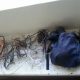 Polícia Militar de Cruzeiro prende ladrão de fios