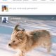Facebook lança a ação Stories, semelhante ao Snapchat
