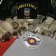 Força Tática prende traficante de 28 anos com 23 quilos de maconha em Taubaté