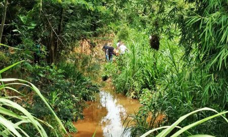 Homem de 56 anos é encontrado morto em rio em Silveiras