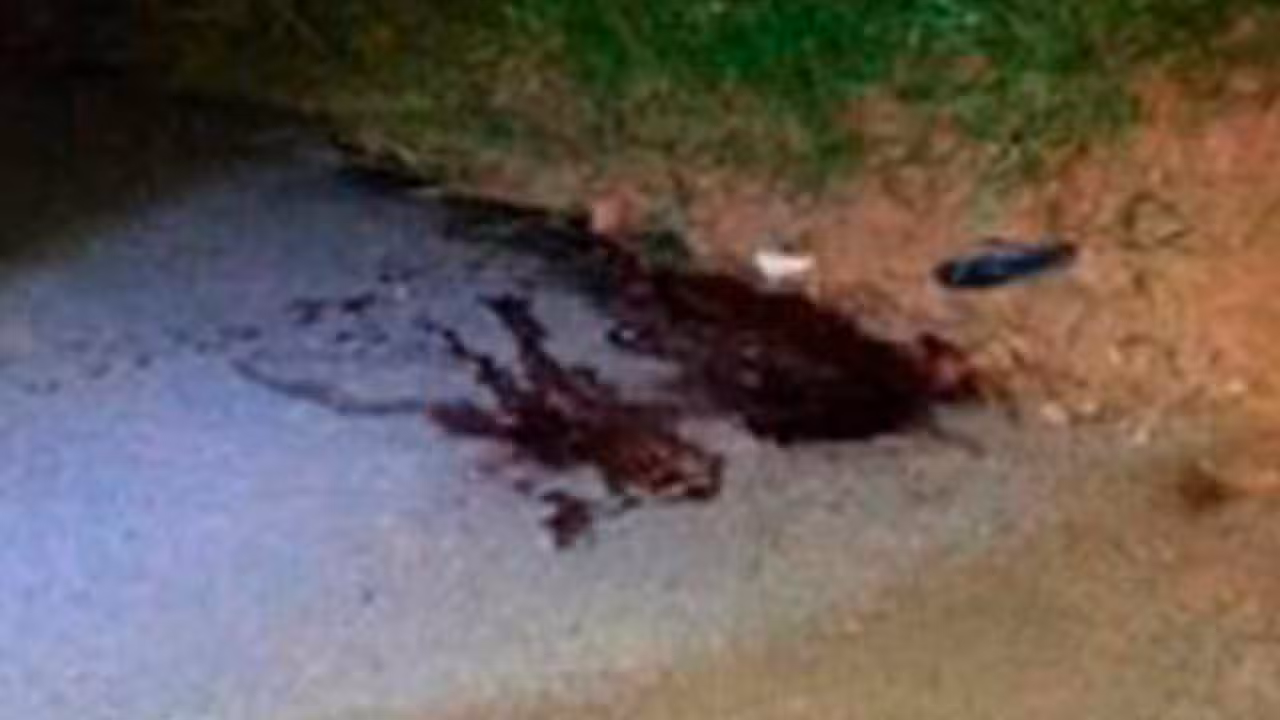 Corpo de mulher é encontrado em Taubaté com marcas de tiros
