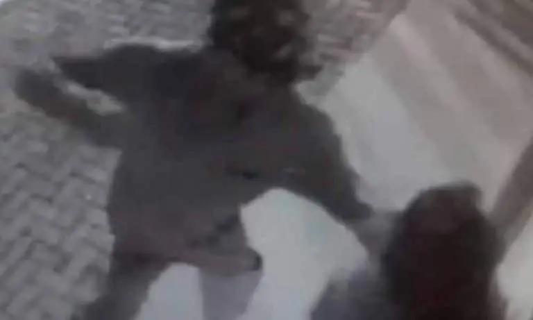 Jovem de 17 anos é espancada por assaltante durante assalto no Jardim Mesquita em Jacareí