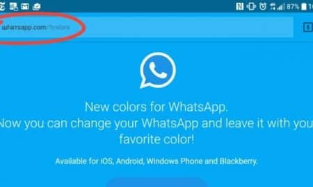 Através de propaganda indesejada, falso link do WhatsApp baixa vírus que polui computador