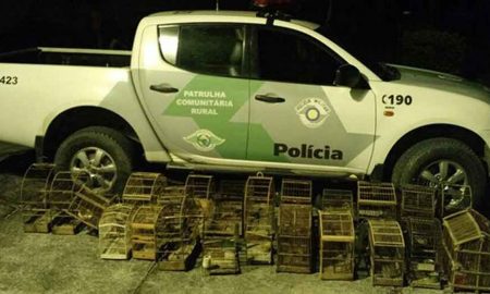 Homem leva R$ 44 mil em multas por manter 17 aves em cativeiro em São José do Barreiro