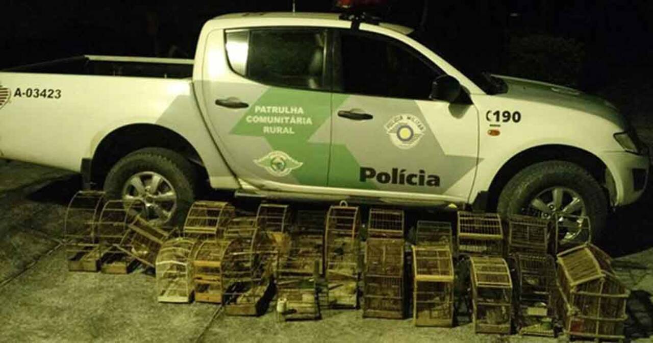 Homem leva R$ 44 mil em multas por manter 17 aves em cativeiro em São José do Barreiro