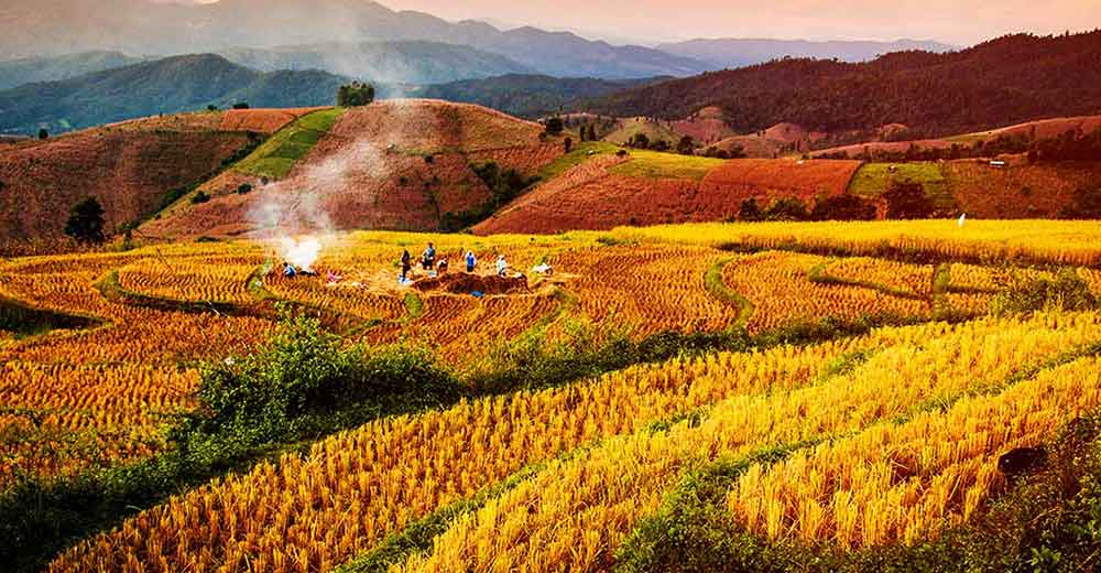 Em SP, 22% da área rural é de terra preservada