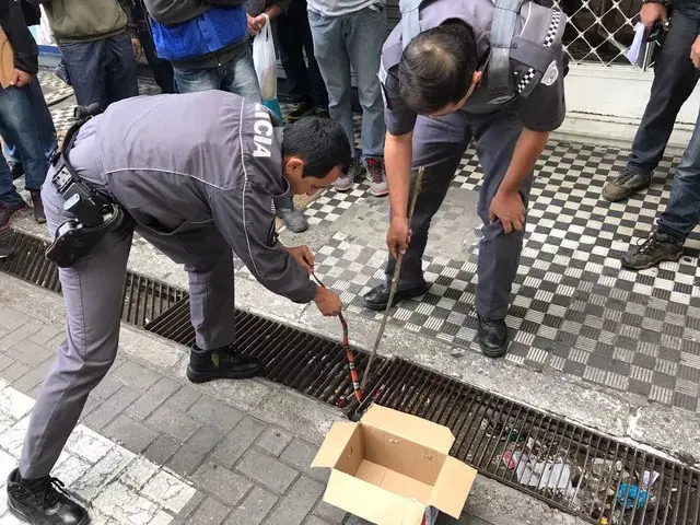 Cobra assusta pessoas em ponto de ônibus em São José dos Campos