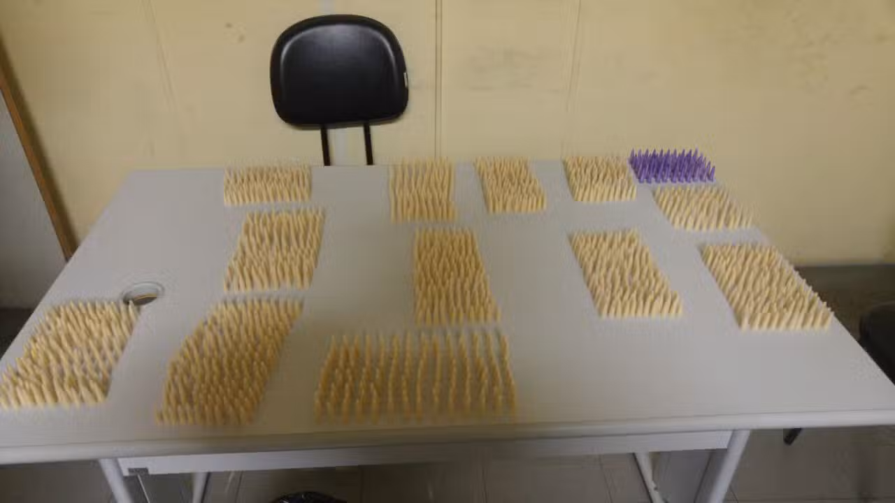 Força Tática de Lorena apreende 1,4kg de cocaína e 450gr de maconha
