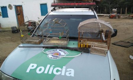 Homem é preso por crime contra o meio ambiente e porte ilegal de arma em Cruzeiro
