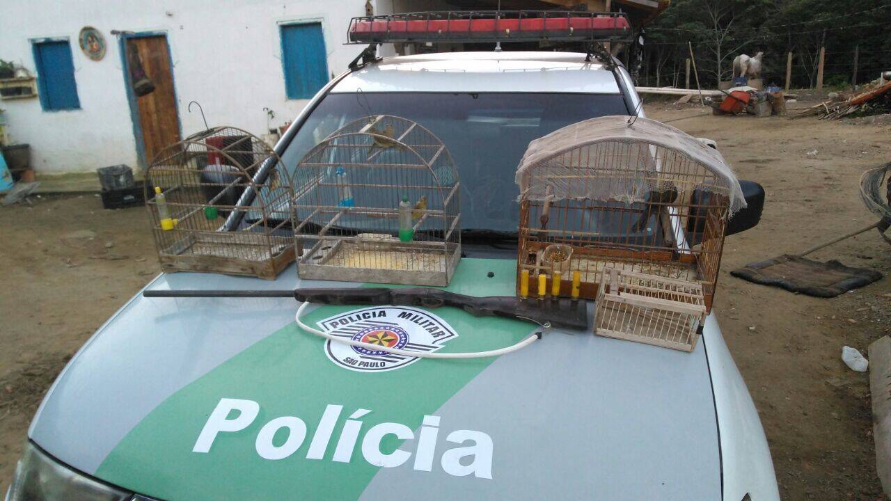 Homem é preso por crime contra o meio ambiente e porte ilegal de arma em Cruzeiro