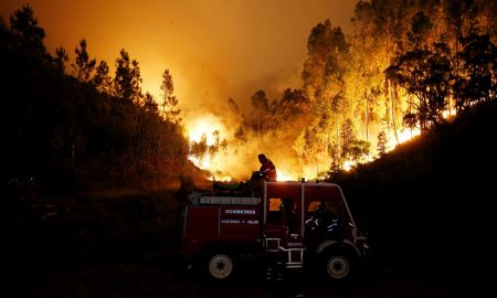 Incêndio florestal deixa 57 mortos e 60 feridos em Portugal