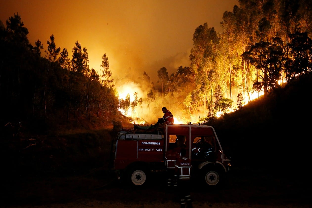 Incêndio florestal deixa 57 mortos e 60 feridos em Portugal