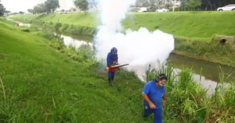dengue sao jose