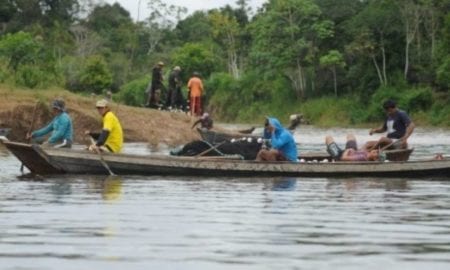 Governo vai atualizar cadastro de pescadores.