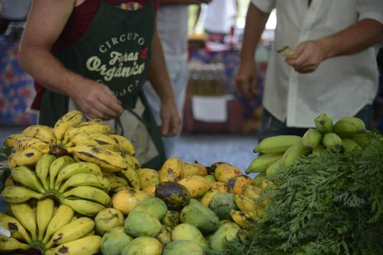 Produtores agroecológicos participam de feira no centro do Rio