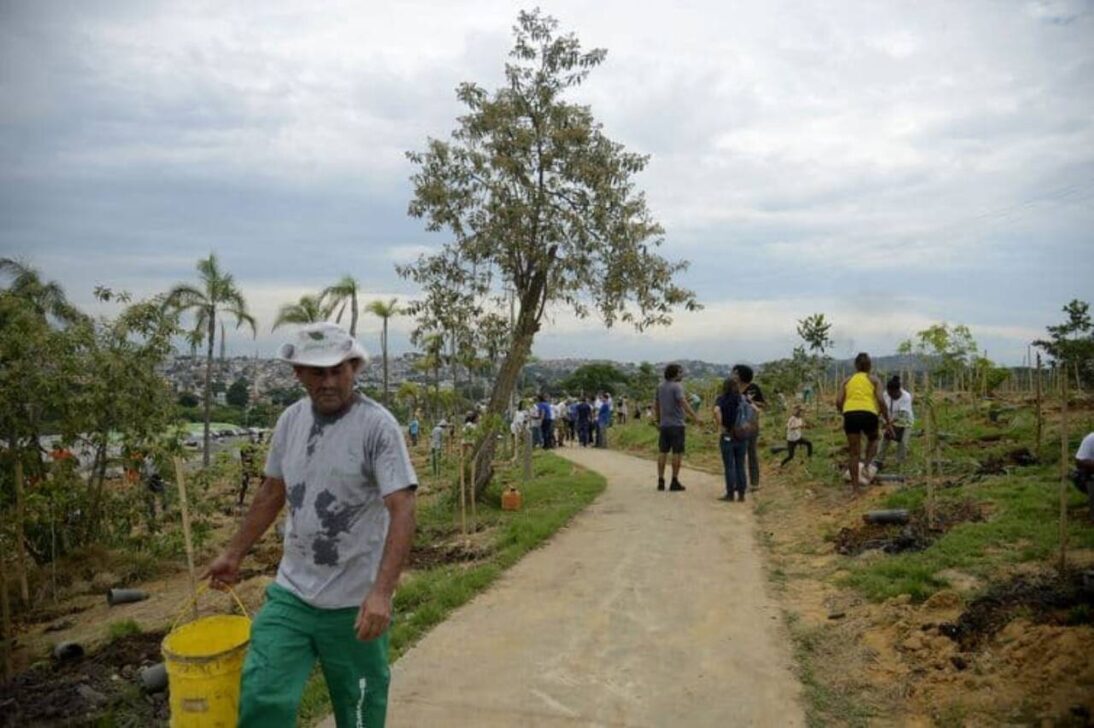 Rio conclui plantio de mudas na Floresta dos Atletas