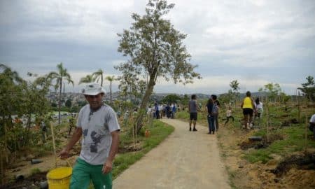 Rio conclui plantio de mudas na Floresta dos Atletas