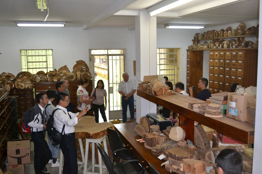 Instituto Florestal recebe delegação chinesa que atua na proteção ao meio ambiente