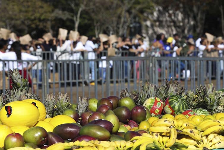 China autoriza compra de melão brasileiro