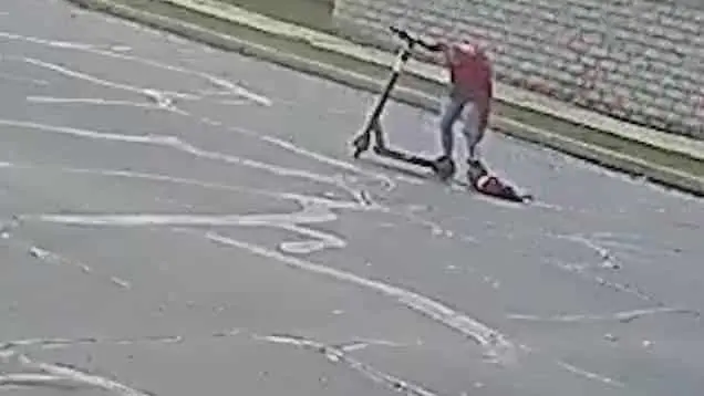 Cachorro é arrastado por mulher em patinete elétrico nos EUA