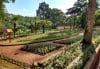 Unidade de Conservação em Rio Claro apresenta revitalização de jardim
