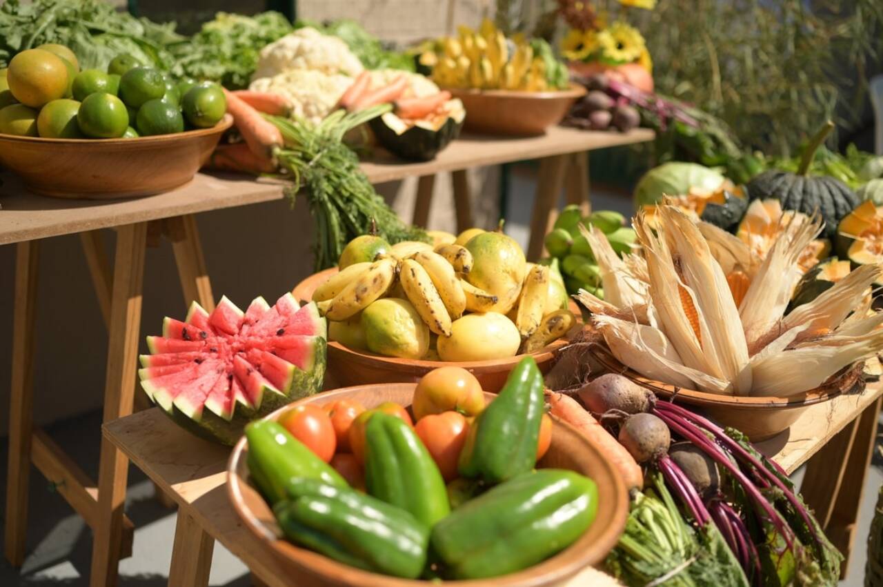 Programa de Aquisição de Alimentos recebe crédito extra de R$ 500 milhões