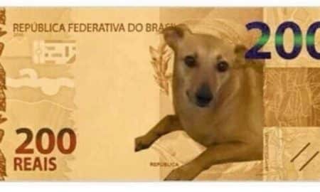 Nota falsa de R$ 200 já foi impressa