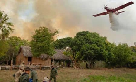 Cientistas e deputados sugerem medidas emergenciais e preventivas para o combate aos incêndios florestais