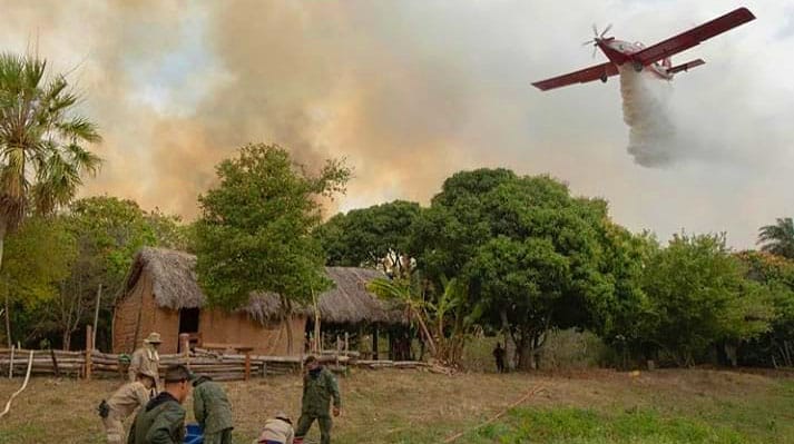 Cientistas e deputados sugerem medidas emergenciais e preventivas para o combate aos incêndios florestais