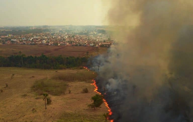 Comitiva da Câmara dos Deputados visita áreas queimadas no Pantanal