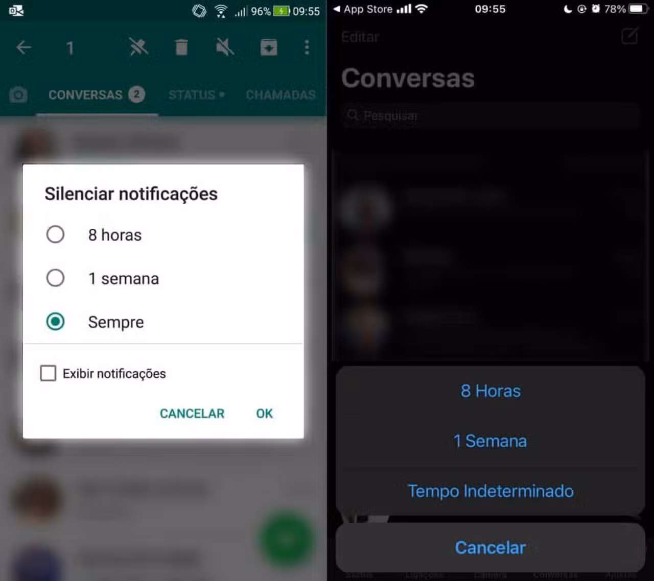 whatsapp-image-2020-10-23-at-09.56.01