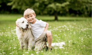 Cachorro para crianças: 15 raças de cães para fazer companhia