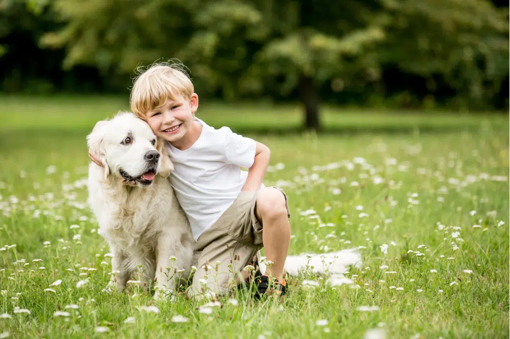 Cachorro para crianças: 15 raças de cães para fazer companhia