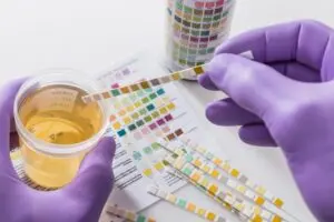 Condutores de primeira habilitação terão exame toxicológico obrigatório para CNH a partir do dia 20 de junho