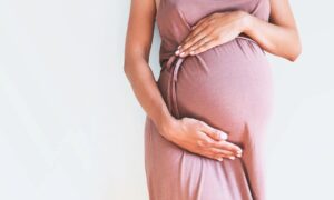 gestante gravida maternidae