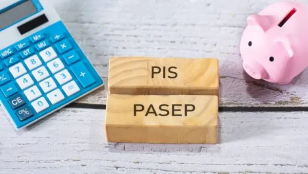 ABONO PIS PASEP