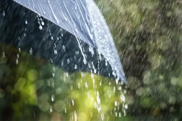 Chuva frio