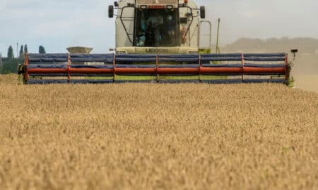 Exportações de grãos da Ucrânia somam 38,5 mi t até 5 de abril, diz ministério