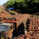 Importação de óleo de palma pela Índia salta em março com descontos, dizem negociantes